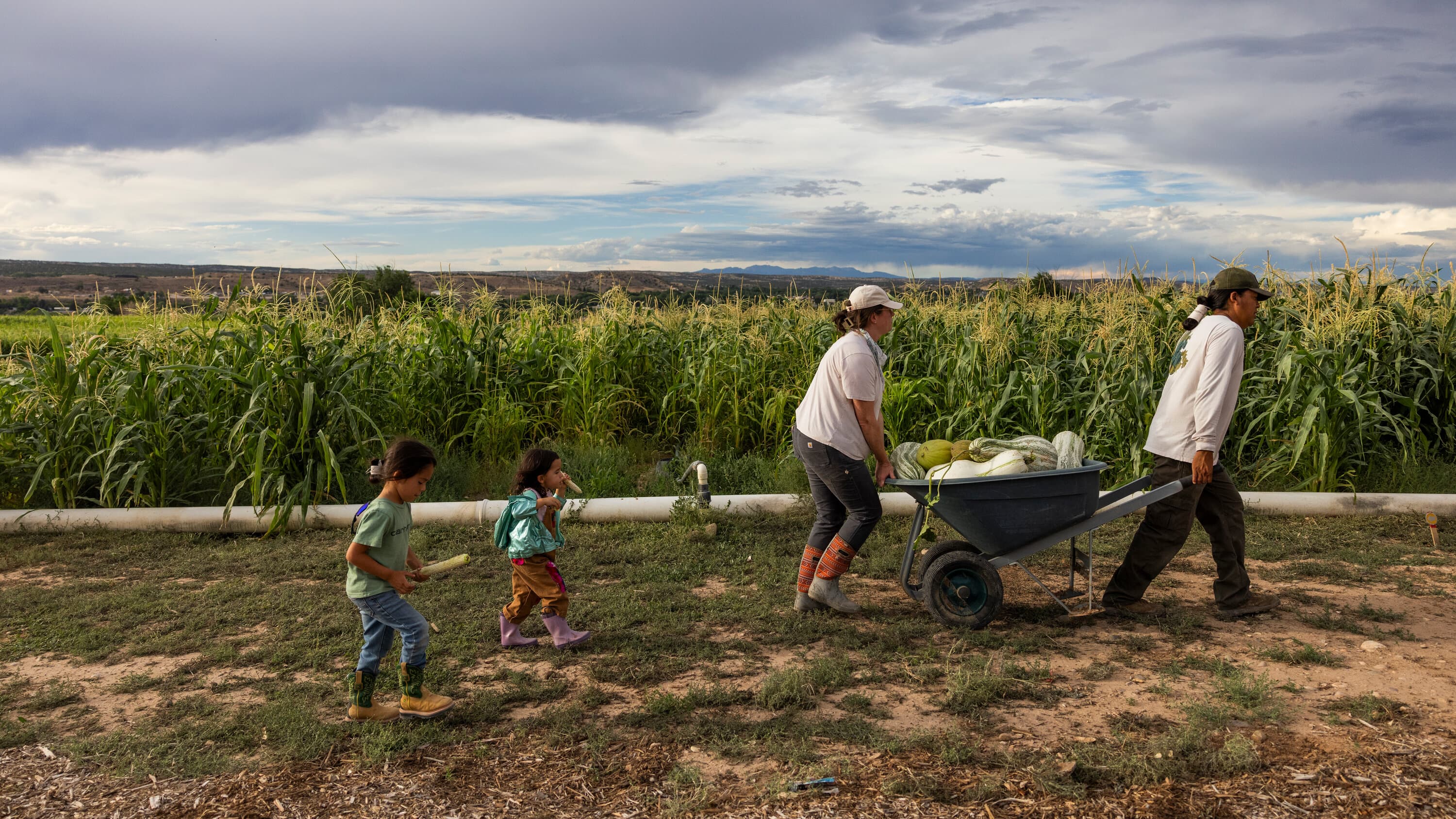 Farmers Face Service Gaps Due to Agriculture Dept Shortages