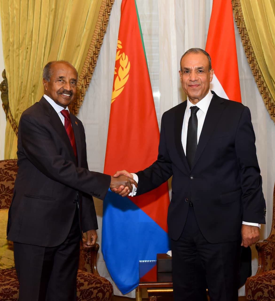 Foreign Minister discusses partnership with Eritrea