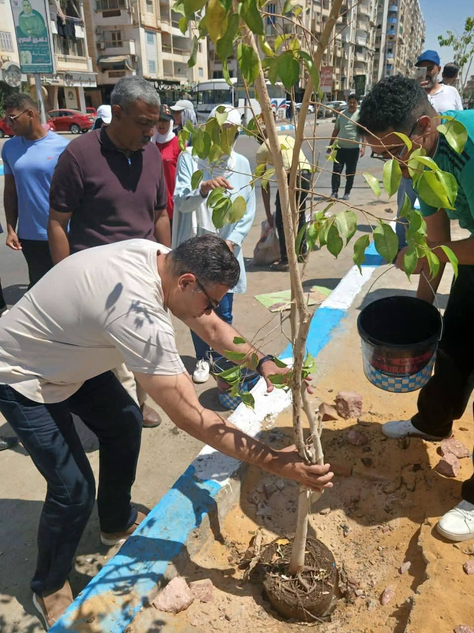Community efforts enhance Suez's urban landscape