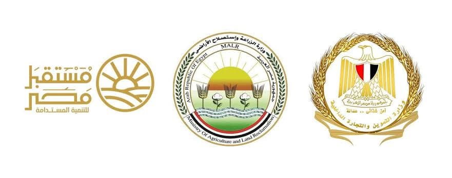Supply Ministry Begins Free Market Sugar Sales