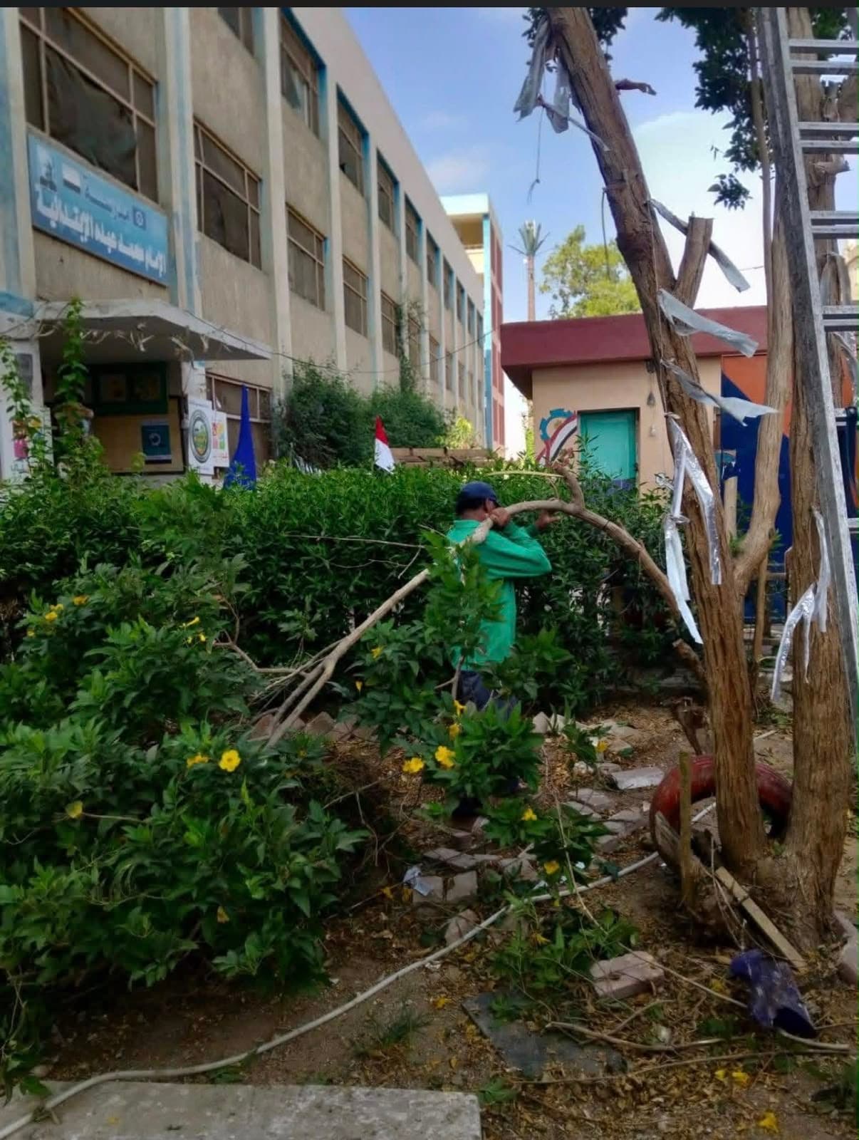 Suez Advances School and City Upgrades