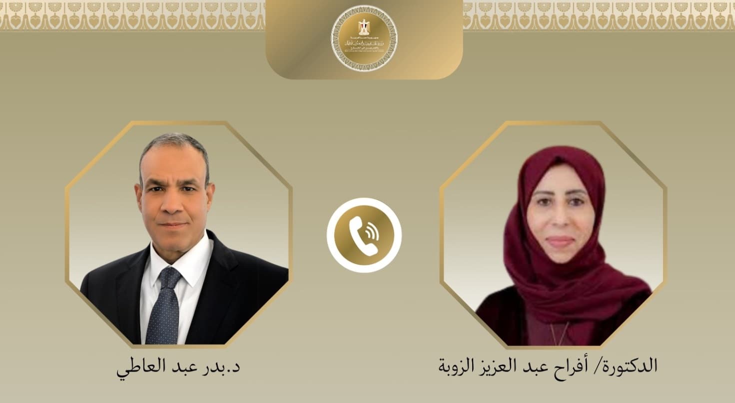 Egypt and Yemen Foreign Ministers condemn Saudi attacks