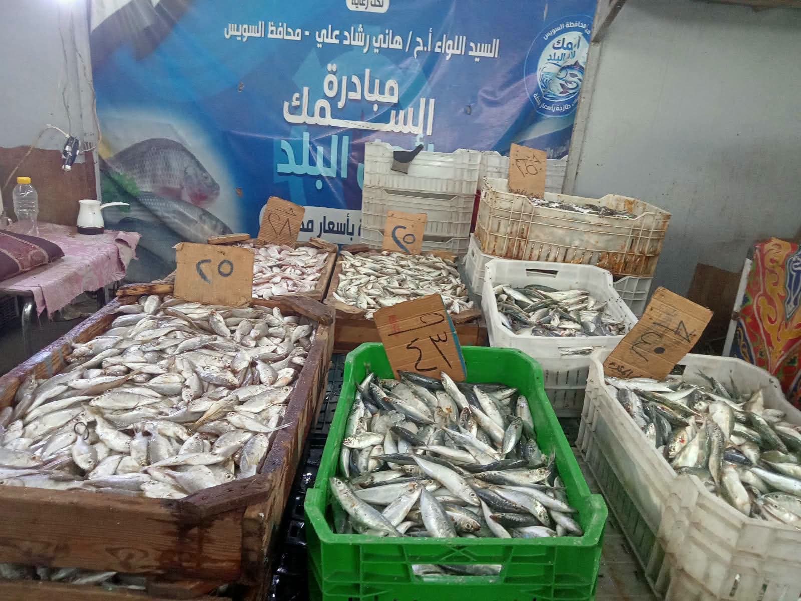 محافظ السويس يوجه لخفض أسعار الأسماك