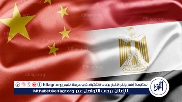 Egypt vital partner for China