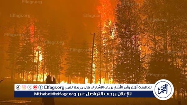 Global Environment Party Leader on Forest Fires