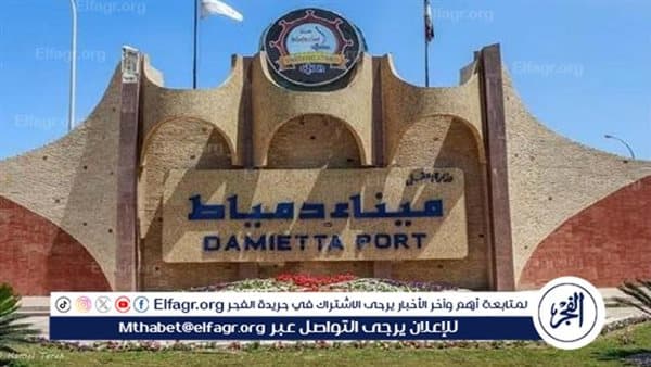 خبير سياسي يبرز أهمية مصر في أمن المنطقة