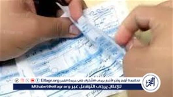 Nashaat Al-Dahi on Electricity Price Rise