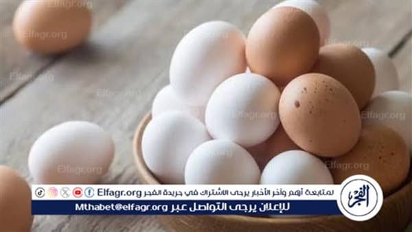جمال شعبان ينصح الأسر بزيادة البيض للأطفال
