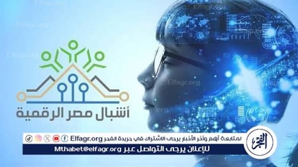 Egypt's Digital Investment on Programmers' Day
