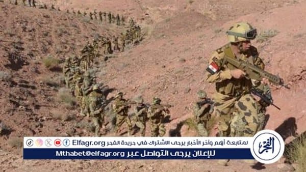 Ancient Egyptian Art Scholar on Military Doctrine