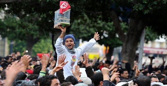 Tunisia's Post-2011 Path Explored
