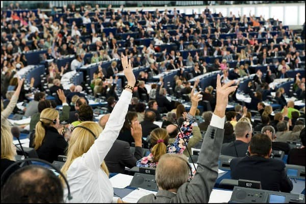 Tunisia Olive Oil Under EU Scrutiny