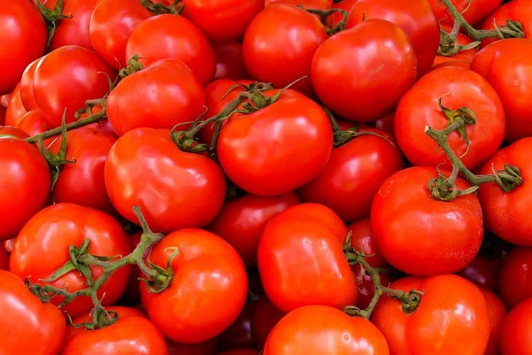 Tunisia destroys 100,000 tons of tomatoes