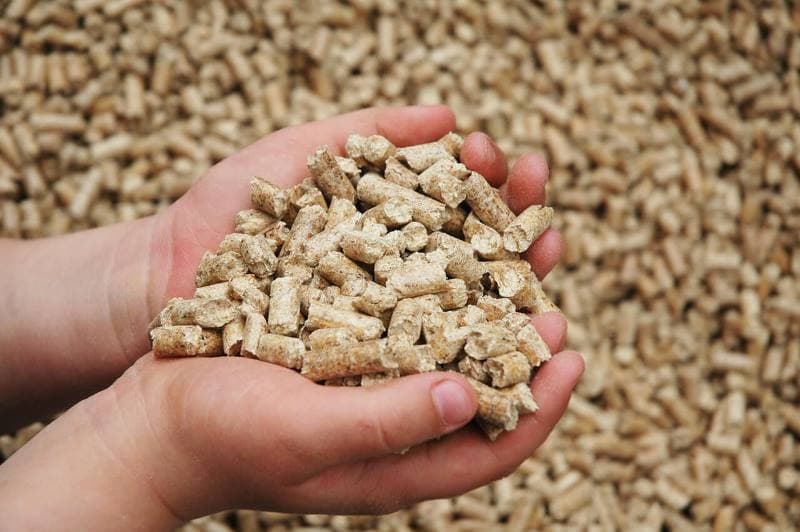 Tunisie Telegraph: Farmers' Group Cautions About Feed Office Decline
