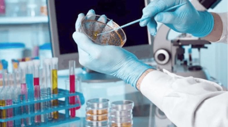 Shanghai Ranking Questions Tunisian Research Standing