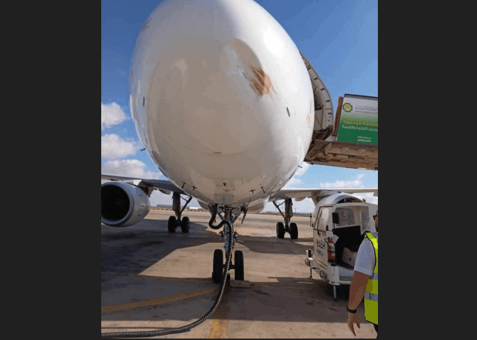 Berniq Airlines plane collides with bird on takeoff