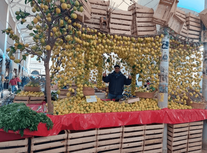 Hamza Al-Ayari Installation at Risk in Tunisia