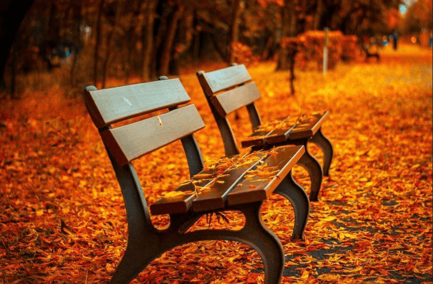 Tunisie Telegraph: Autumn Joy or Drop in Temperatures