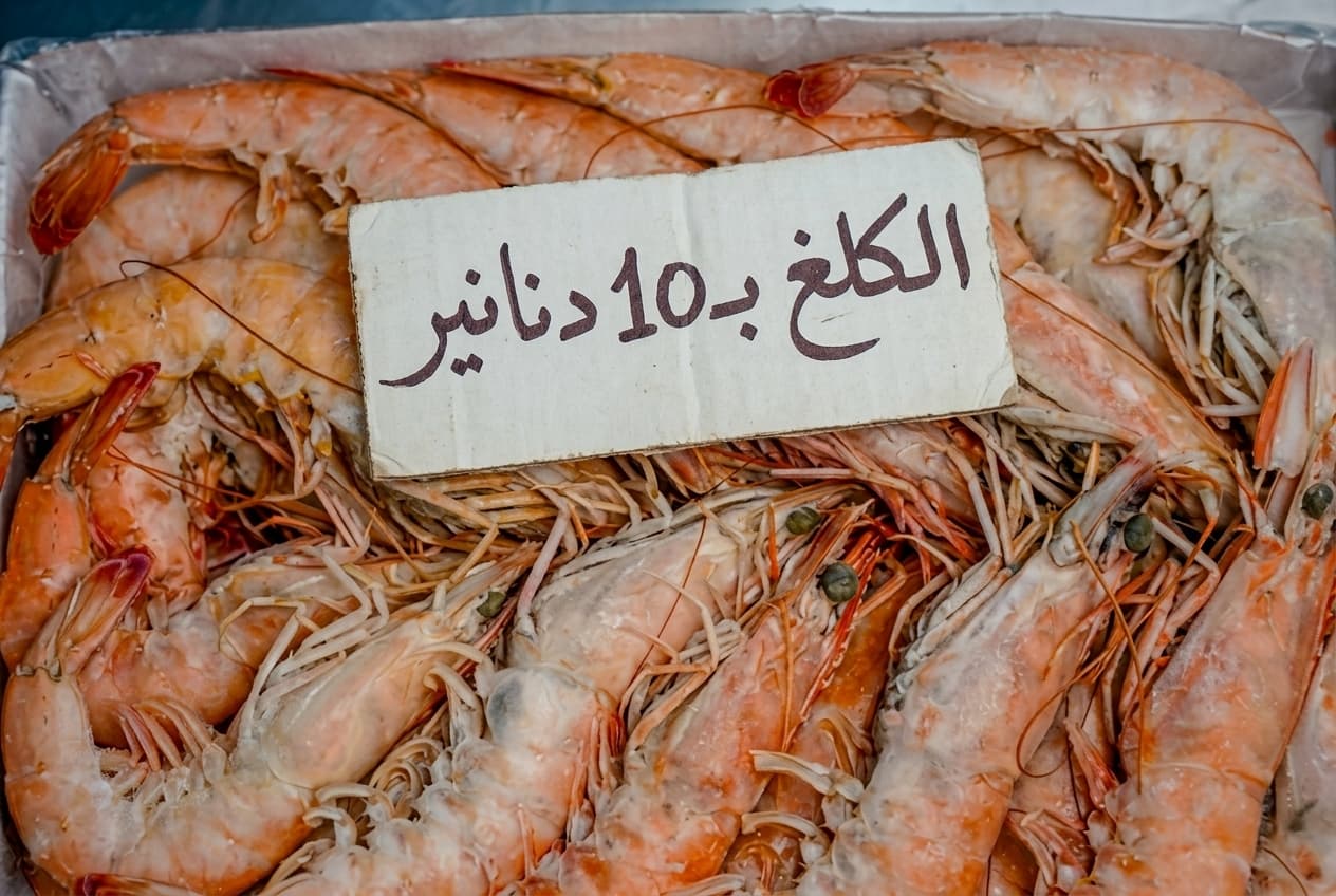 وفرة جراد البحر بعشرة دنانير هل تفسر المصدر
