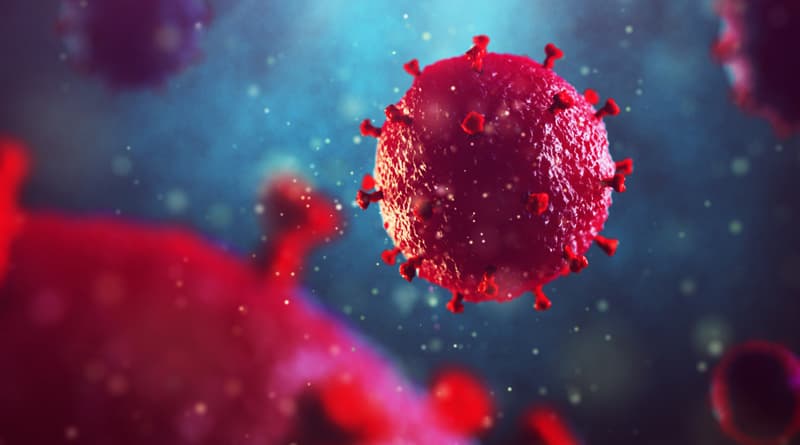 Tunis Afrique Presse: Virus rumors cause panic in Medenine and Zarzis