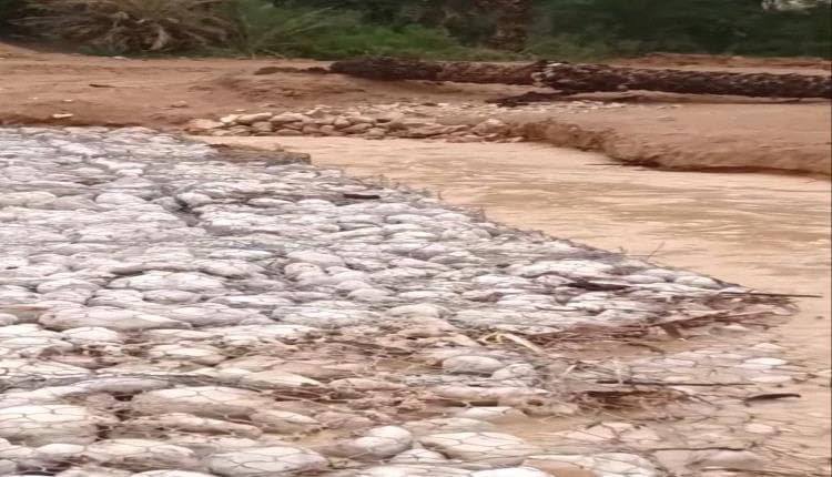 حبس مسؤول بحضرموت على خلفية مشروع تدميري