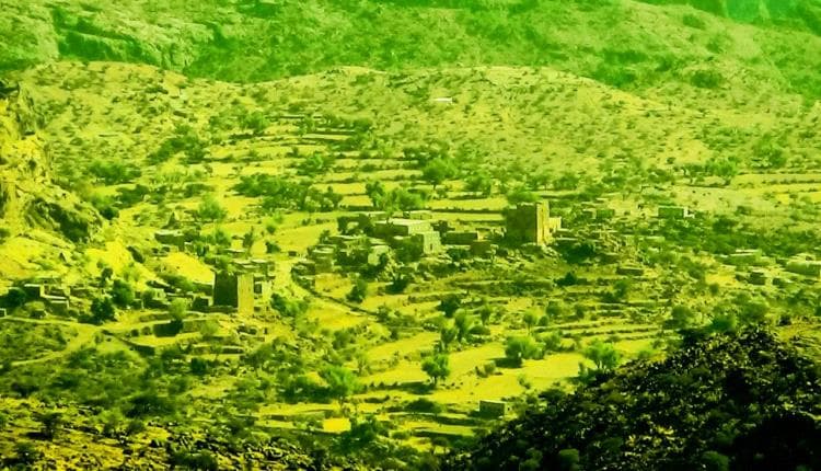 Al-Dhalea: Son of martyr dies herding sheep