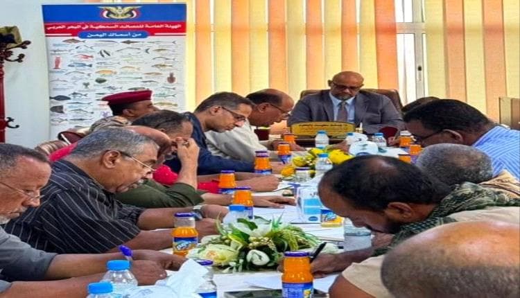 Yemen Governorates: Mukalla meeting approves unified mechanism for implementing traditional fishing regulation list