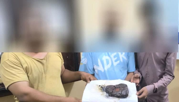 ضبط ثلاثة أشخاص في عدن بحوزتهم نحو كيلوغرام من الحشيش