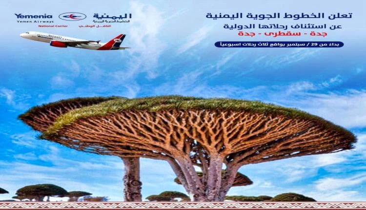 الخطوط الجوية اليمنية تعلن استئناف رحلات جدة سقطرى بثلاثة رحلات أسبوعيا