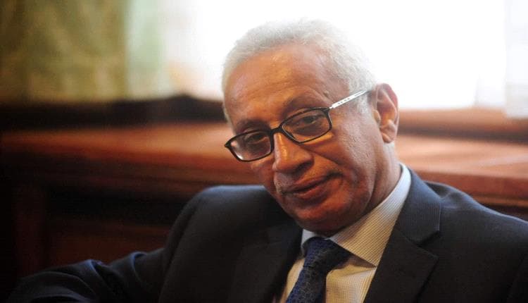 السفير أحمد ناجي: باب المندب خط أحمر
