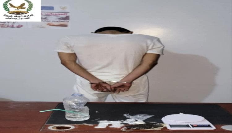 Shabwa Narcotics Referred to Court