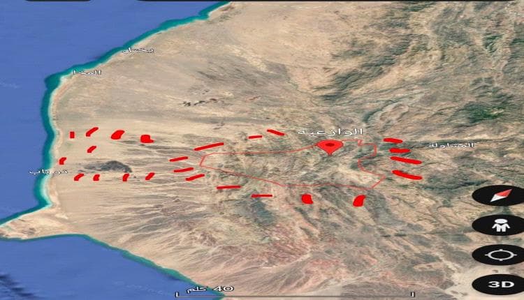 وضع باب المندب وذباب يتجاوز الواقع