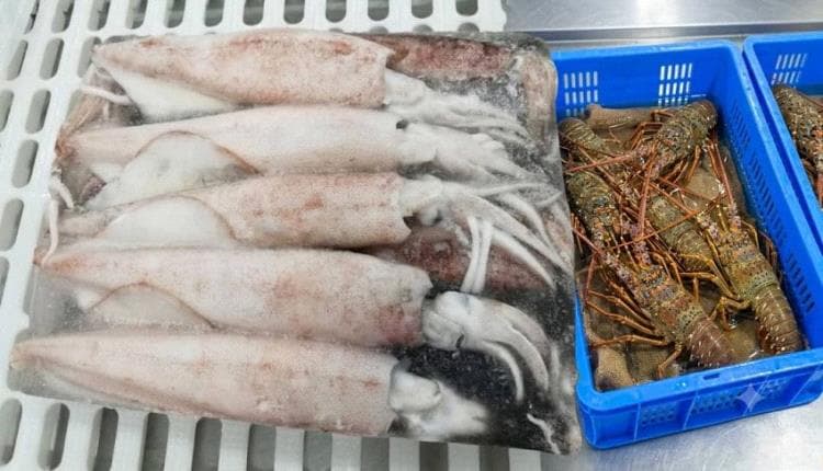 Yemen halts squid and rockfish fishing