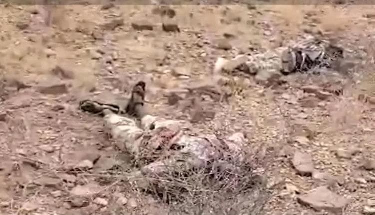 Journalists and Activists Highlight End of Houthi Project