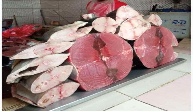 Red Sea Tensions Threaten Yemeni Fish Supplies