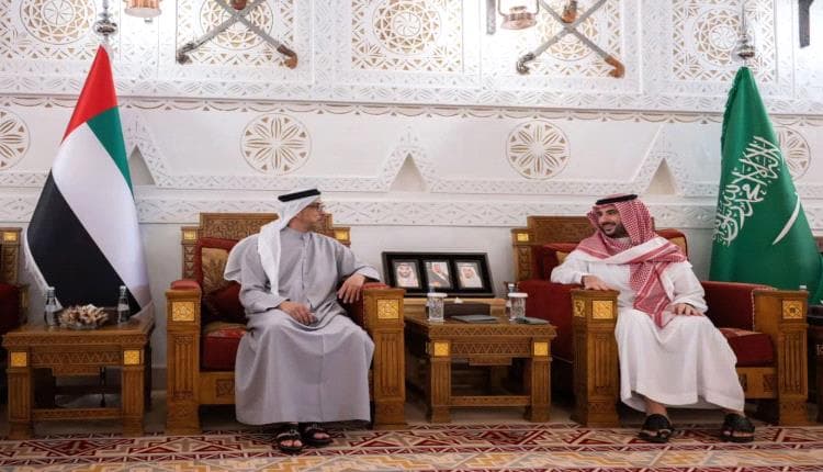 Mansour bin Zayed and Khalid bin Salman Discuss Bilateral Ties