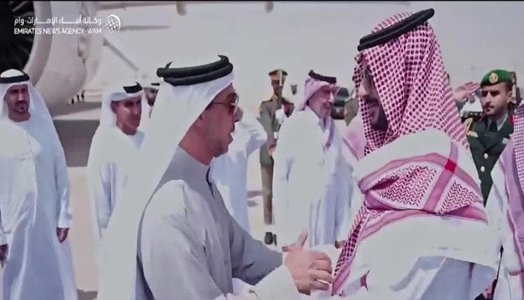 Financial Times explains Mansour bin Zayed’s visit