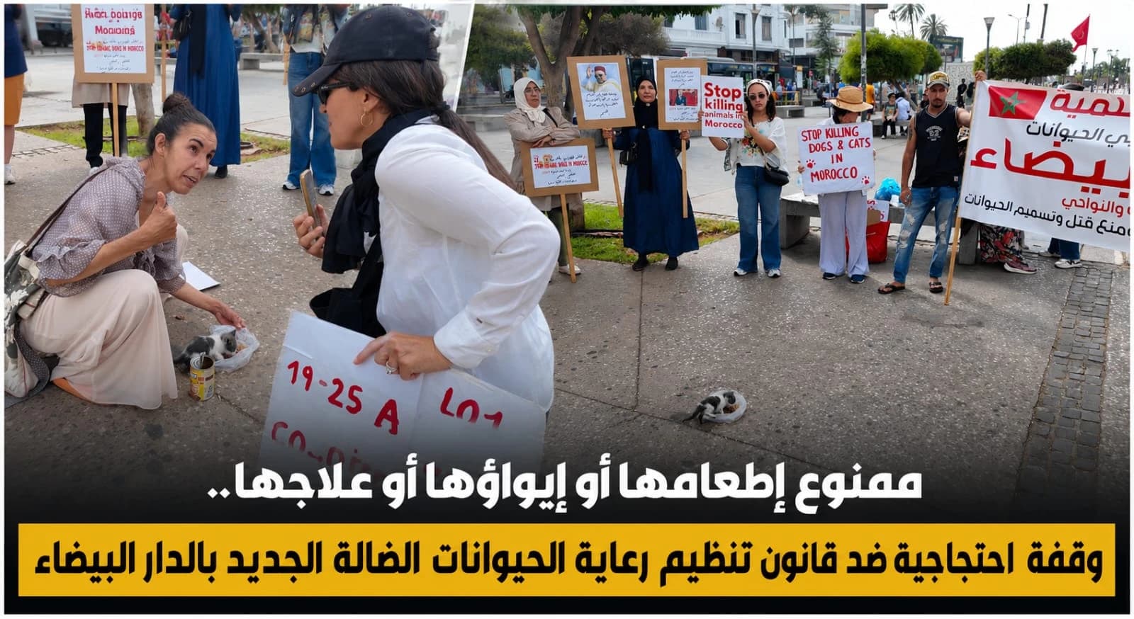 احتجاج بالبيضاء على قانون رعاية الحيوانات