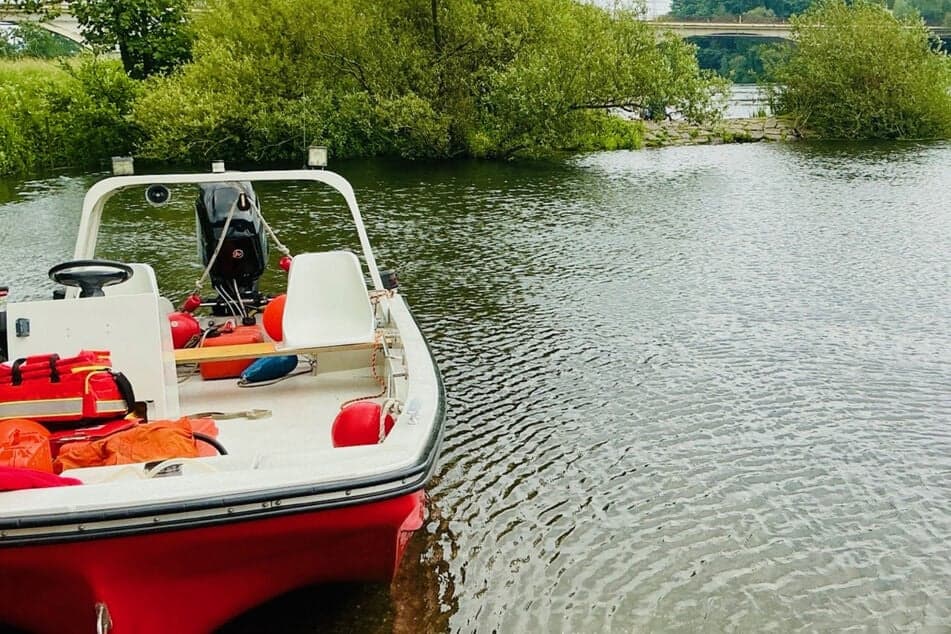 Three women fall into Rhine during barbecue