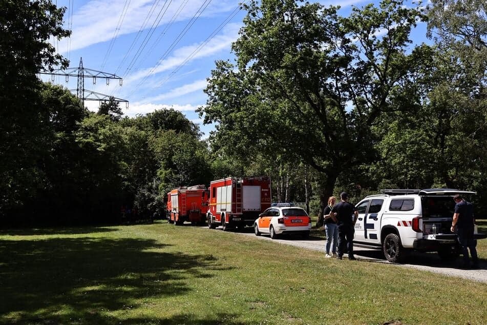 Woman dies in Hamburg pole fire