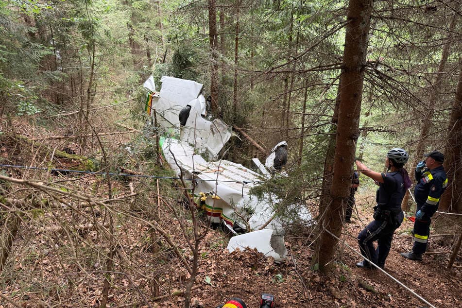 Two People Killed in Small Plane Crash in Austria