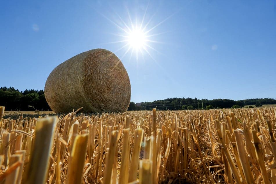 Germany's North Rhine-Westphalia Faces New Heatwave with Temperatures Potentially Reaching 35°C