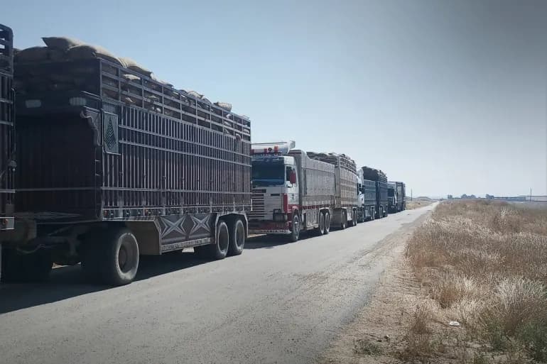 Hama Wheat Theft Involved Collusion and Forgery