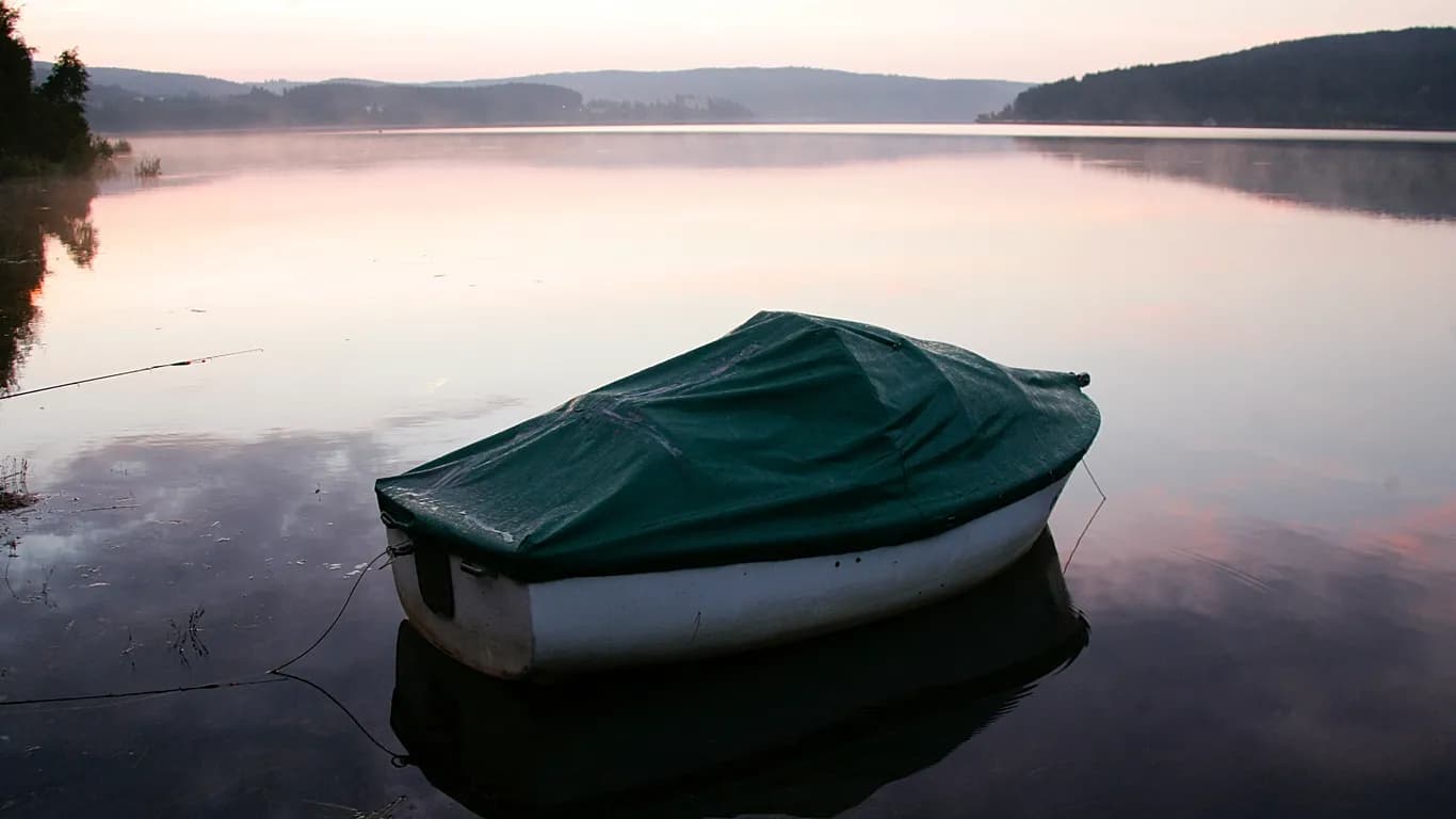 Germany sees record domestic tourism Black Forest attracts Europeans