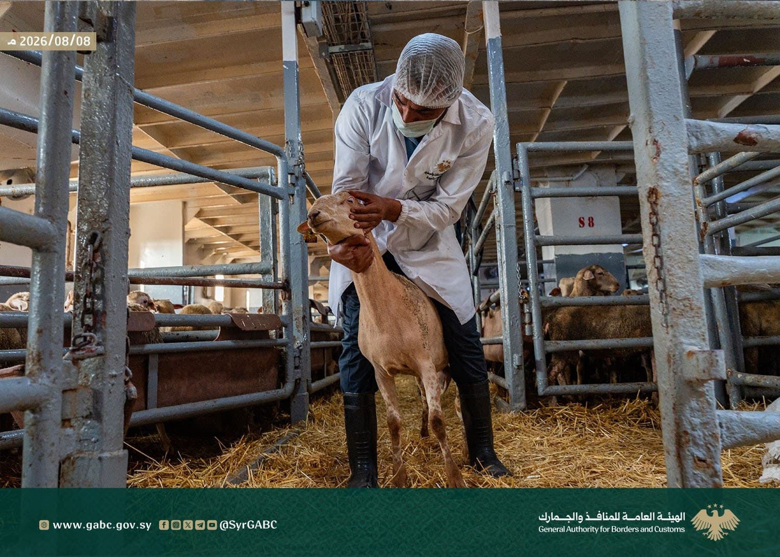 حيوانات من البرازيل وإسبانيا تصل إلى طرطوس