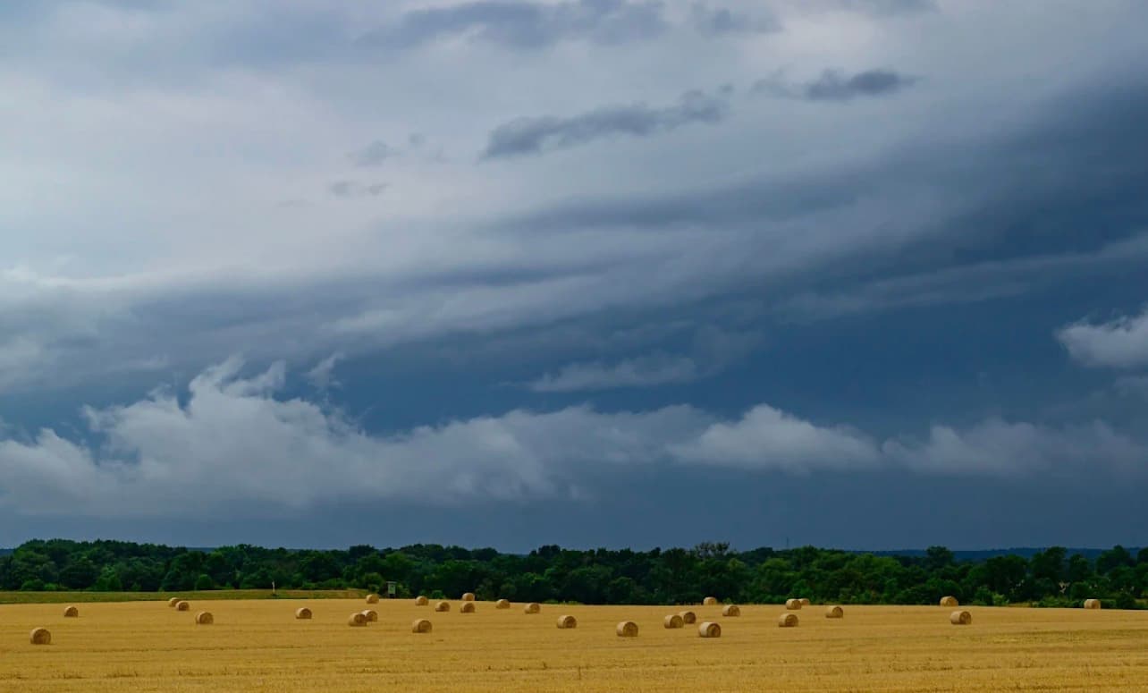 Germany's heatwave ends with storms