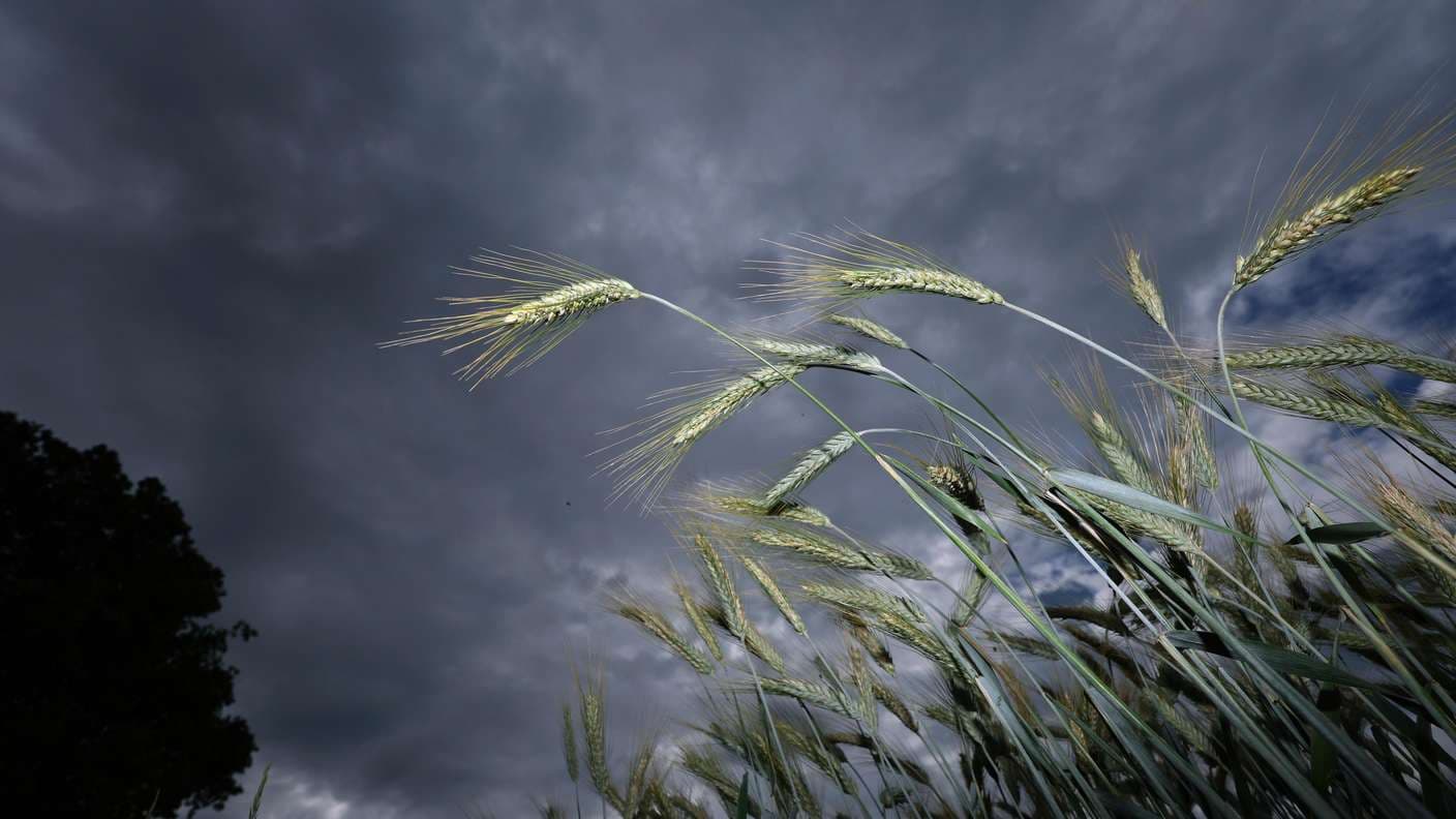 Germany faces storms and heavy rain