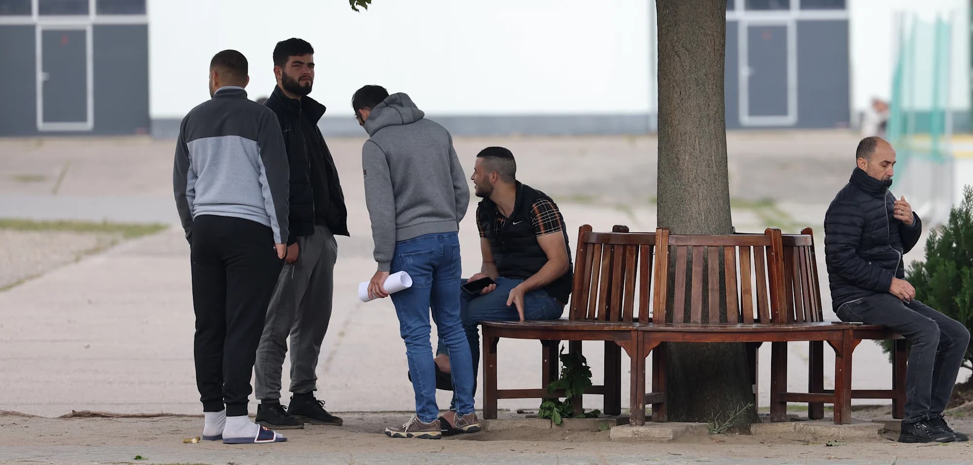 ألمانيا تقتصر حماية السوريين