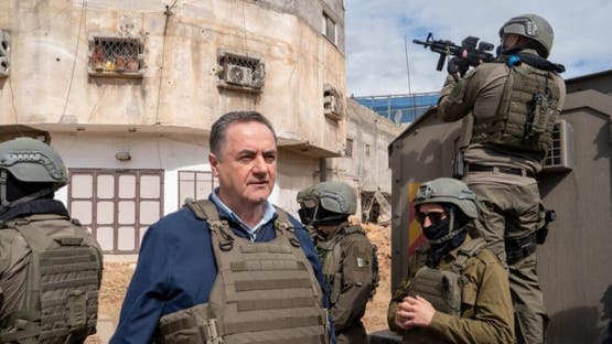 Southern Syria Cats Threaten Mount Hermon
