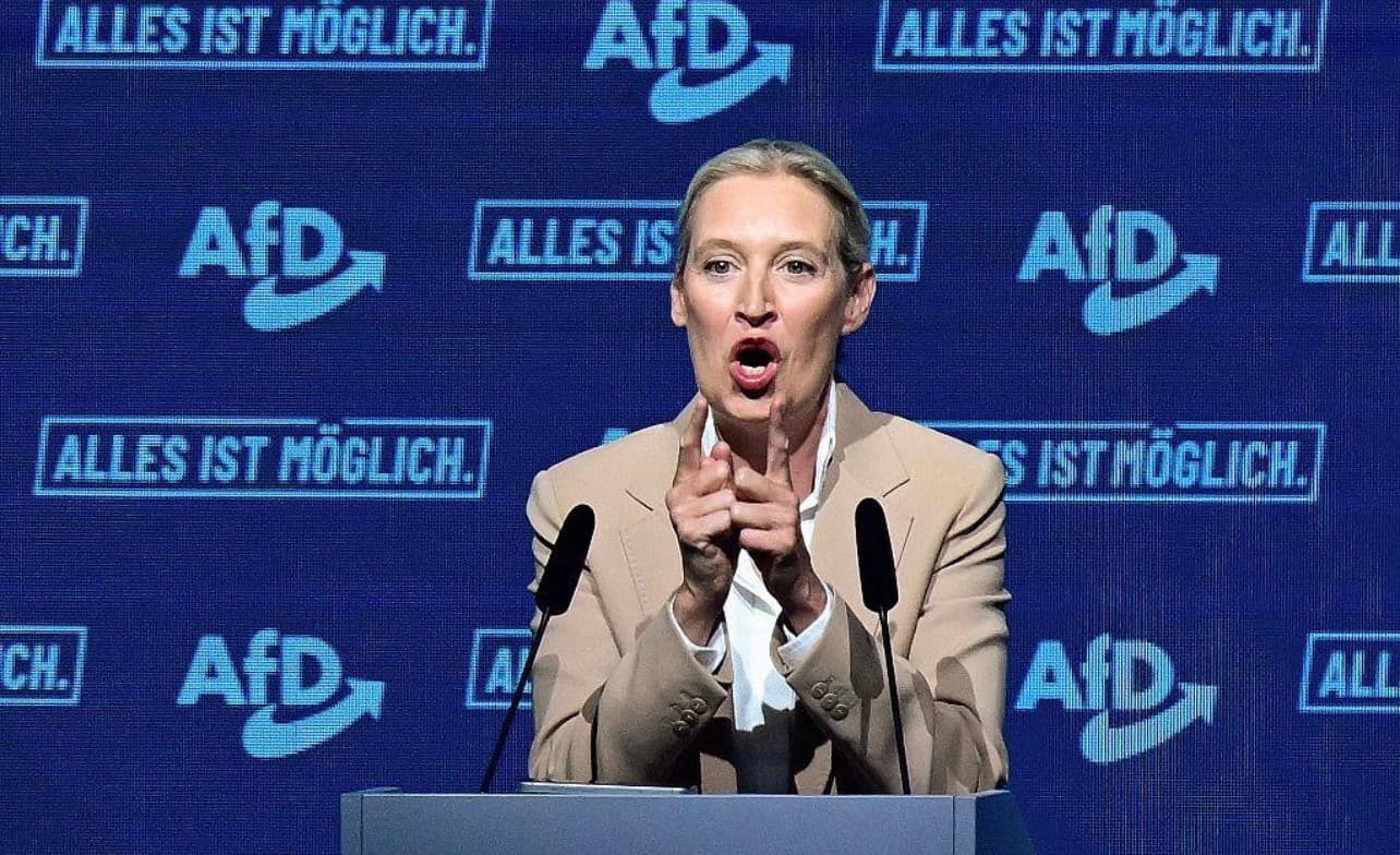 German AfD's stance on Syrians